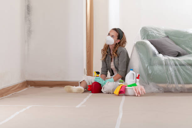Reliable Mold Removal contractor in Brinklow, MD by WQB Mold Removal